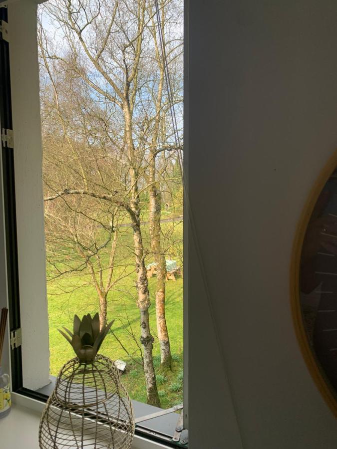 Treetops Coleraine Esterno foto